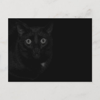 Postal Orion Mi Gato BlackOut