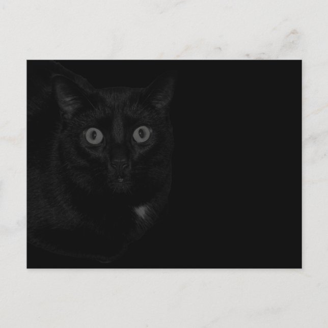 Postal Orion Mi Gato BlackOut  (Anverso)