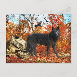 Postal "Orion & The Crows"