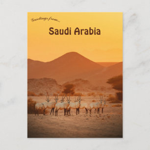 Postal Órix Árabe Neom Arabia Saudita