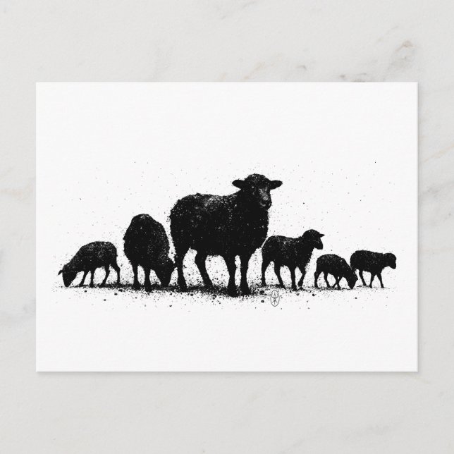 Postal Orkney Sheep — Ink Silhouette Flock (Anverso)