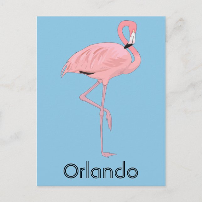 Postal Orlando Florida Flamenco Rosa (Anverso)