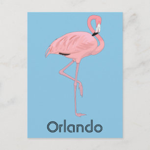 Postal Orlando Florida Pink Flamingo