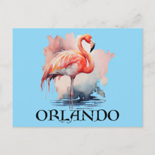 Postal Orlando Florida Pink Flamingo