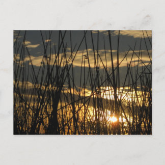 Postal Orlando Sunset