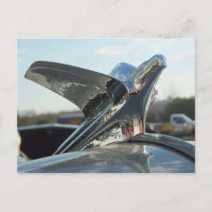 Postal Ornamento de Eagle Hood
