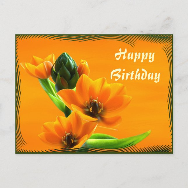 Postal Ornithogalum dubium (Anverso)