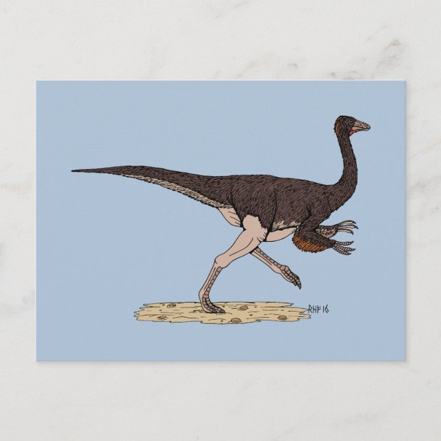 Postal Ornithomimus cretácico (Anverso)