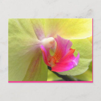 Postal Orquídea