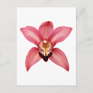 Postal orquídea