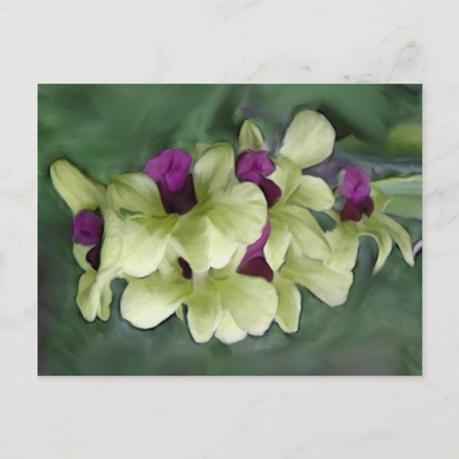 Postal orquídea (Anverso)