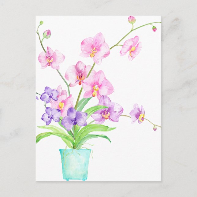 Postal Orquídea acuarela en la olla (Anverso)