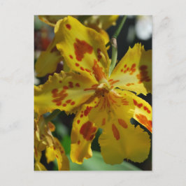 Postal Orquídea amarilla de Vero Beach
