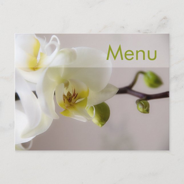 Postal Orquídea Blanca (Anverso)