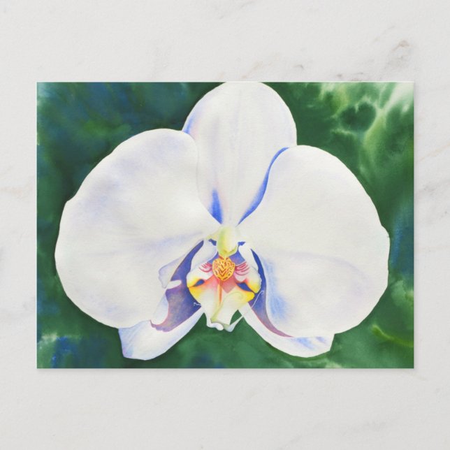 Postal Orquídea Blanca (Anverso)