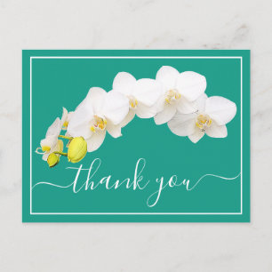 Postal Orquídea Blanca Moderna Agradecimiento Botánico El