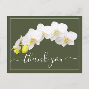 Postal Orquídea Blanca Moderna Elegante Botánica Agradeci