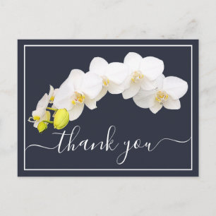 Postal Orquídea Blanca Moderna Elegante Botánica Agradeci