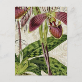 Postal orquídea botánica romántica tropical parisina fran