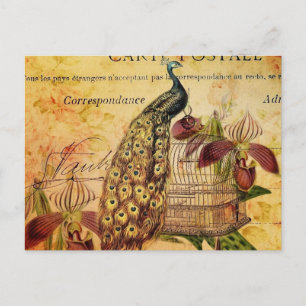 Postal orquídea botánica tropical pavo real vintage moder