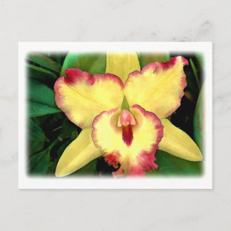 Postal Orquídea de atleya amarilla con escurrimiento rojo