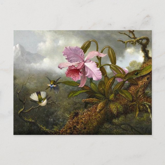 Postal Orquídea de Cattleya, dos colibríes y un escarabaj (Anverso)