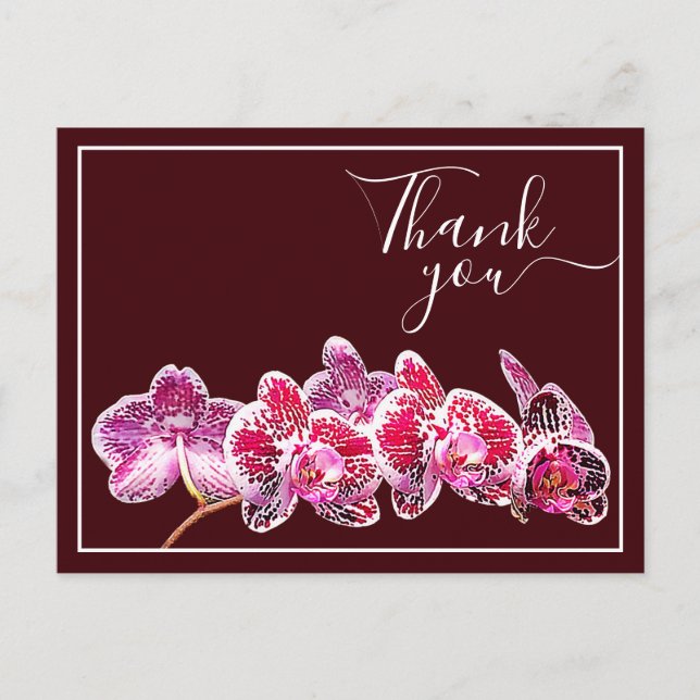 Postal Orquídea de Venas Rojas Contra Fondo de Vino Graci (Anverso)