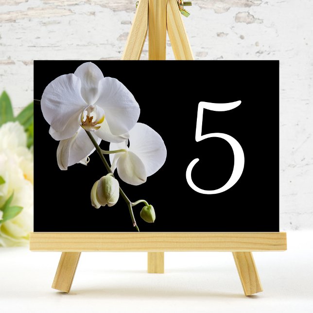 Postal Orquídea en números de tabla negros (Subido por el creador)
