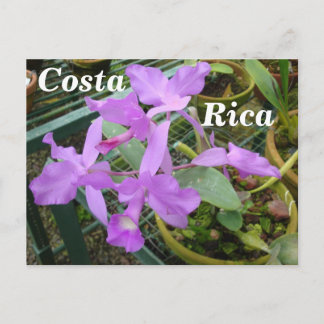 Postal Orquídea - Flor Nacional de Costa Rica