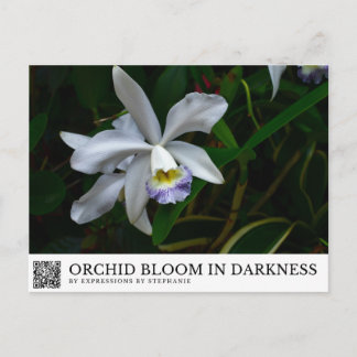 Postal Orquídea florece en la oscuridad