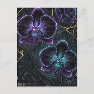 Postal Orquídea negra florece con púrpura bioluminiscente