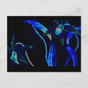 Postal Orquídea nocturna