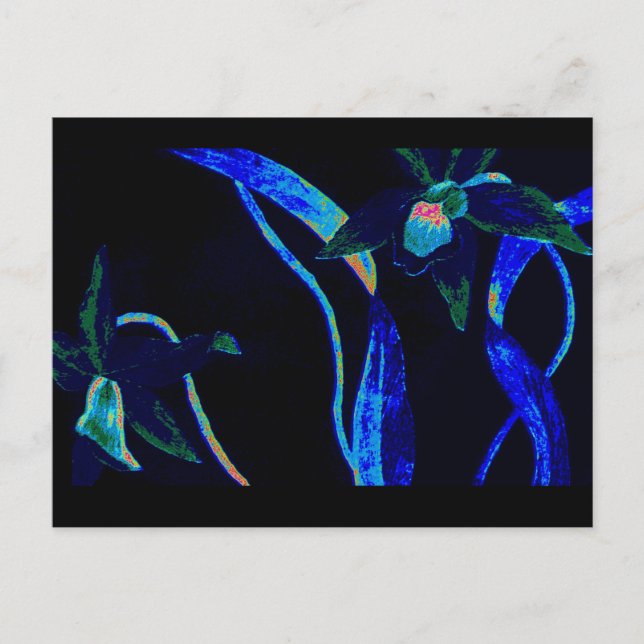 Postal Orquídea nocturna (Anverso)