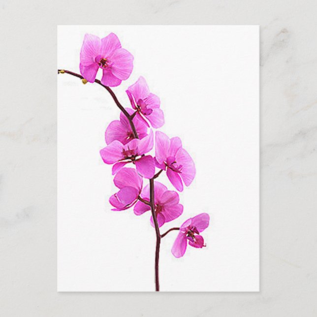 Postal "Orquídea rosa" (Anverso)