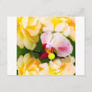 Postal Orquídea rosa con pelota de tenis