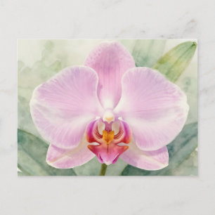 Postal Orquídea Rosa Elegante Botánica Floral Acuarela