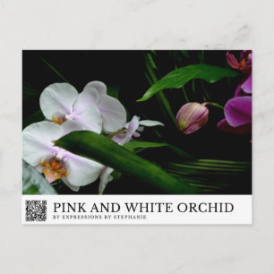 Postal Orquídea rosa y blanca