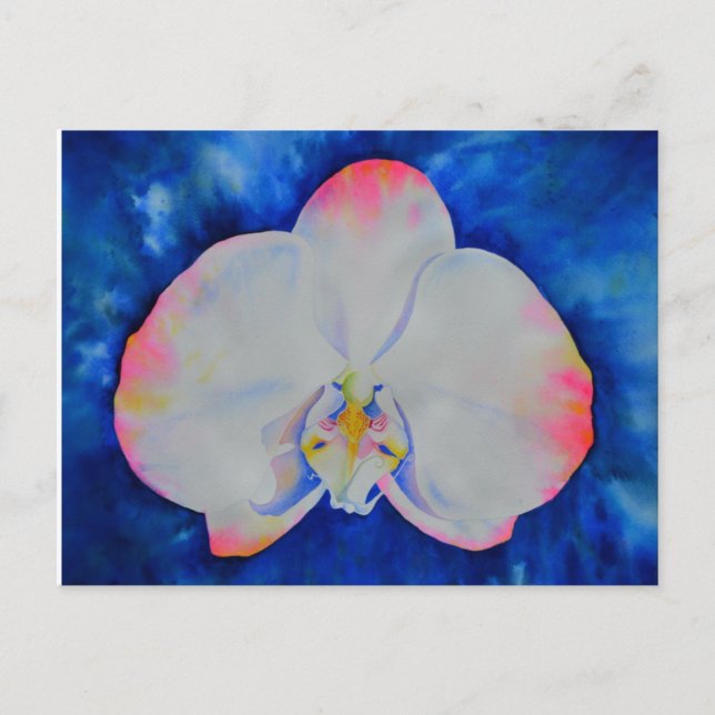 Postal Orquídea Rubor rosa (Anverso)
