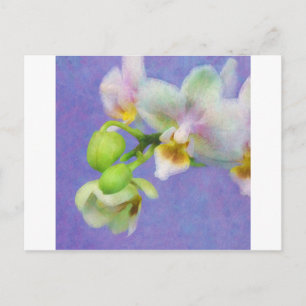 Postal Orquídeas