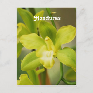 Postal Orquídeas