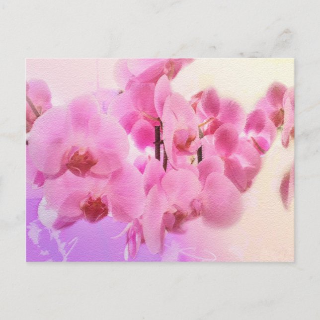Postal orquídeas. (Anverso)