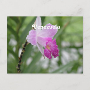 Postal Orquídeas