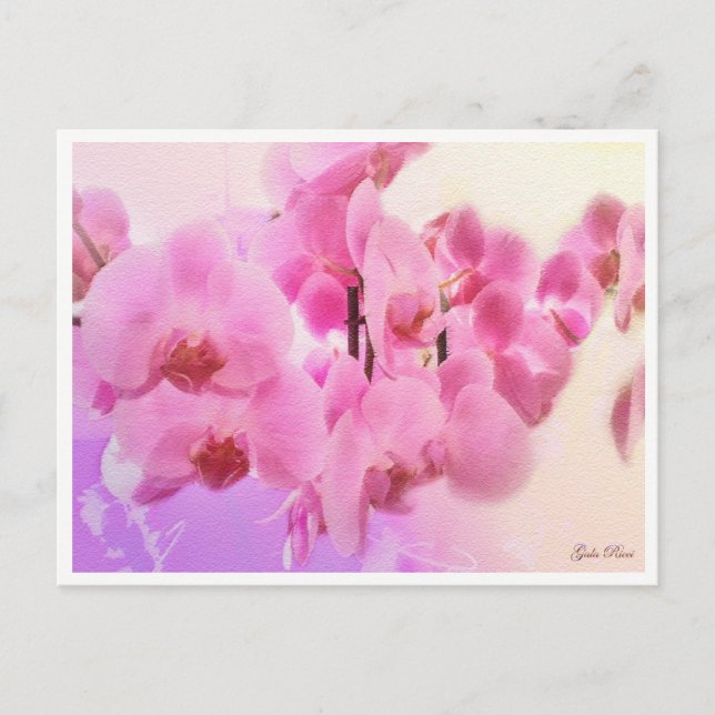Postal orquídeas (Anverso)