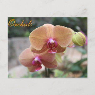 Postal Orquídeas # 10
