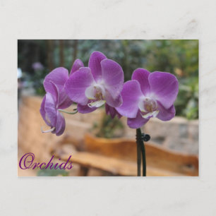 Postal Orquídeas # 9