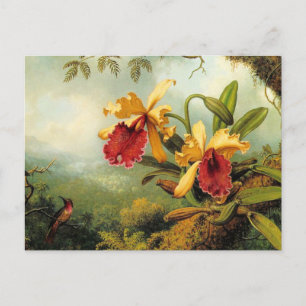 Postal Orquídeas Amarillas