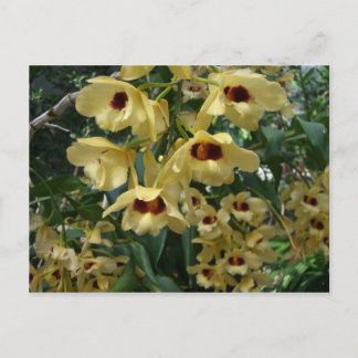 Postal Orquídeas amarillas y granates Floral elegante