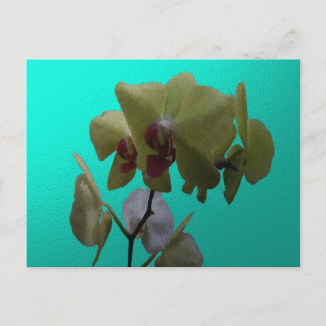 Postal Orquídeas: amarillo y blanco (Anverso)
