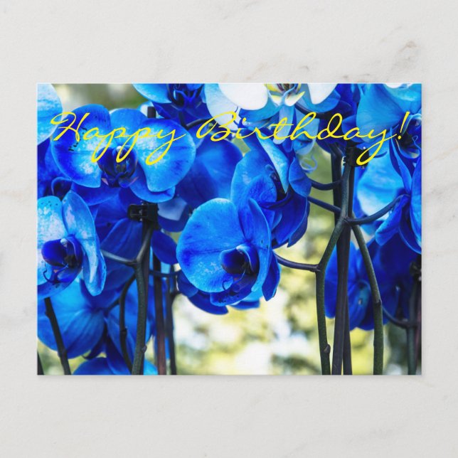 Postal Orquídeas azules (Anverso)