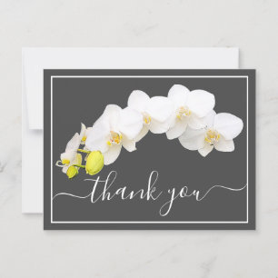 Postal Orquídeas Blancas Contra El Fondo Gris Gracias